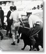 Police Officer With Dog Disperses Metal Print