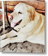 Porch Pooch Metal Print