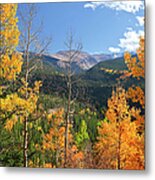 Portrait Of Colorado Landscape In Fall Metal Print