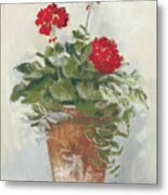 Potted Geraniums Ii Light Metal Print