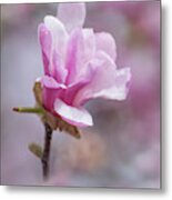 Pretty In Pink Metal Print