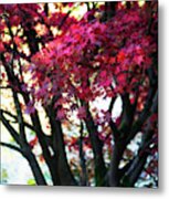 Pretty In Red Metal Print