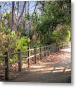 Pretty Path Ii Metal Print