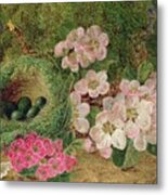 Primroses By A Bird's Nest Metal Print