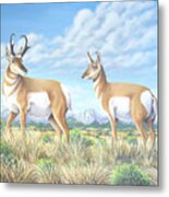 Pronghorn By The Tetons Metal Print