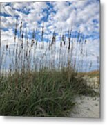 Protecting Our Sand Dunes Metal Print