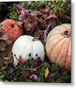 Pumpkins Metal Print