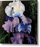 Purple-blue Iris Metal Print