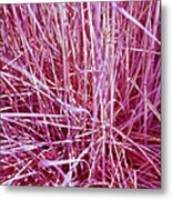 Purple Grass Metal Print