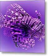Purple Lionfish Metal Print
