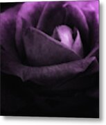 Purple Rose Metal Print