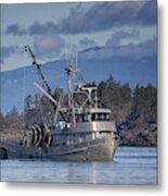 Qualicum Producer In Nw Bay Metal Print