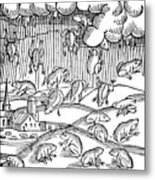 Rain Of Frogs Recorded In 1355 1557 Metal Print