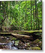 Rainforest Stream Panorama Metal Print