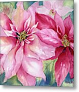 Red And Pink Poinsettias Metal Print