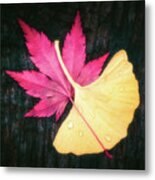 Red And Yellow Metal Print
