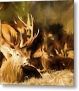 Red Deer Stag Painting Metal Print