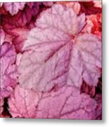 Red Heart Leaf Metal Print