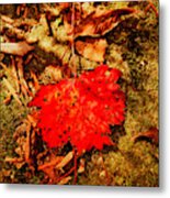 Red Leaf On Mossy Rock Metal Print