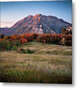 Red Leaves Autumn View Of Mount Timpanogos Metal Print