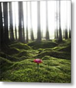 Red Mushroom In The Green Forest Metal Print