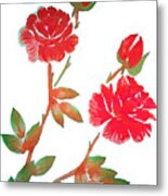 Red Rose Watercolor Transparent Background Metal Print