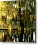 Reflecting Weeping Willow Tree Metal Print