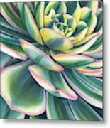 Ripples Of Bloom Metal Print