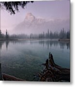 Rising From The Fog Metal Print