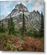 Rising Wolf Mountain, Glacier National Metal Print