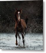 River Run 2 Metal Print