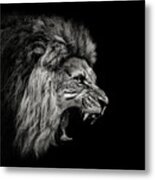 Roaring Lion #2 Metal Print