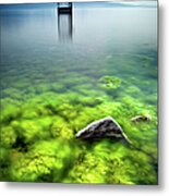 Rock With Algae And Diviing Board In Metal Print