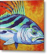 Rooster Fish 2 Metal Print