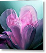 Rose Heart Metal Print