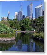 Royal Botanical Garden - Sydney Metal Print