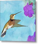 Ruby-throated Hummingbird With Impatiens Metal Print
