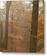 Rusty Autumn In Misty Woods 2 Metal Print
