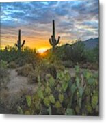 Sabino Canyon And Mount Kimball Sunset, Tucson, Az Metal Print