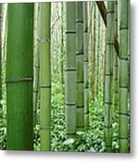Sagano Bamboo Forest Metal Print