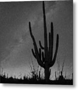 Saguaro By Starlight Metal Print