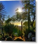 San Diego Botanical Garden Metal Print