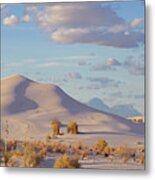 Sand Dune, White Sands Nm, New Mexico Metal Print
