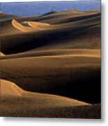Sand Dunes Metal Print