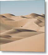 Sand Dunes With A Lone Bush In The Desert Near Yuma, Az Metal Print