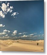 Sand Hills Texas Metal Print