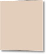 Sandy Tan Solid Color For Home Decor Pillows And Blankets Metal Print