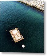 Sea Lions In Redondo Beach Harbor Metal Print