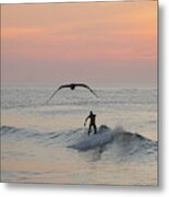 Seagull And A Surfer Metal Print