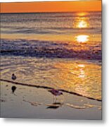 Seagull Sunrise - Tybee Island Beach Sunrise Metal Print